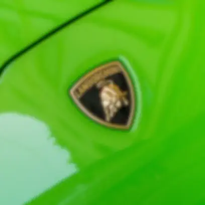 Green Lamborghini emblem symbolizing Buonauto Enterprises legacy in exotic cars
